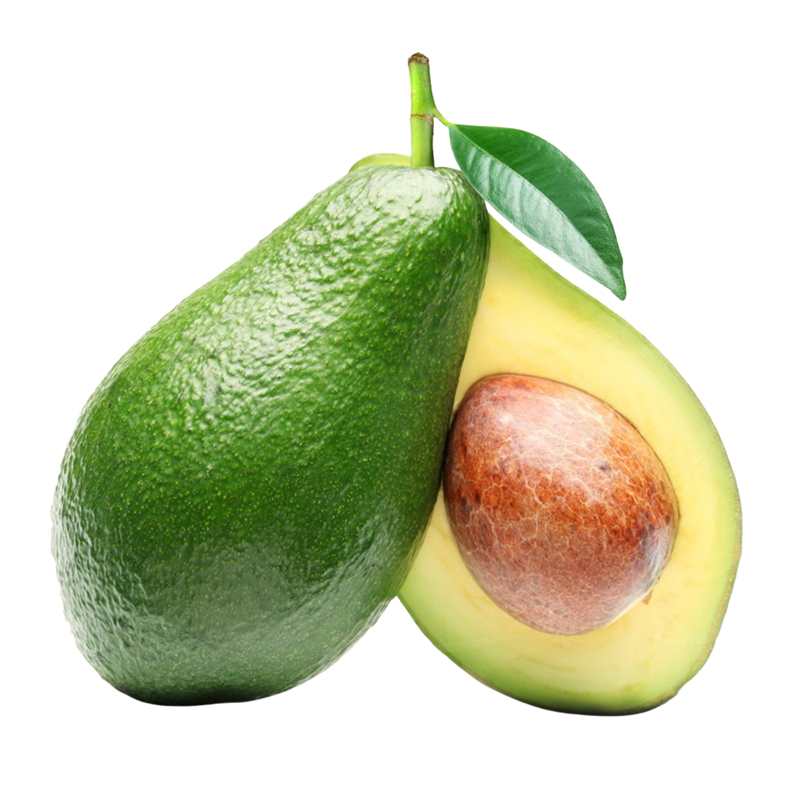 Organic avocado fruit