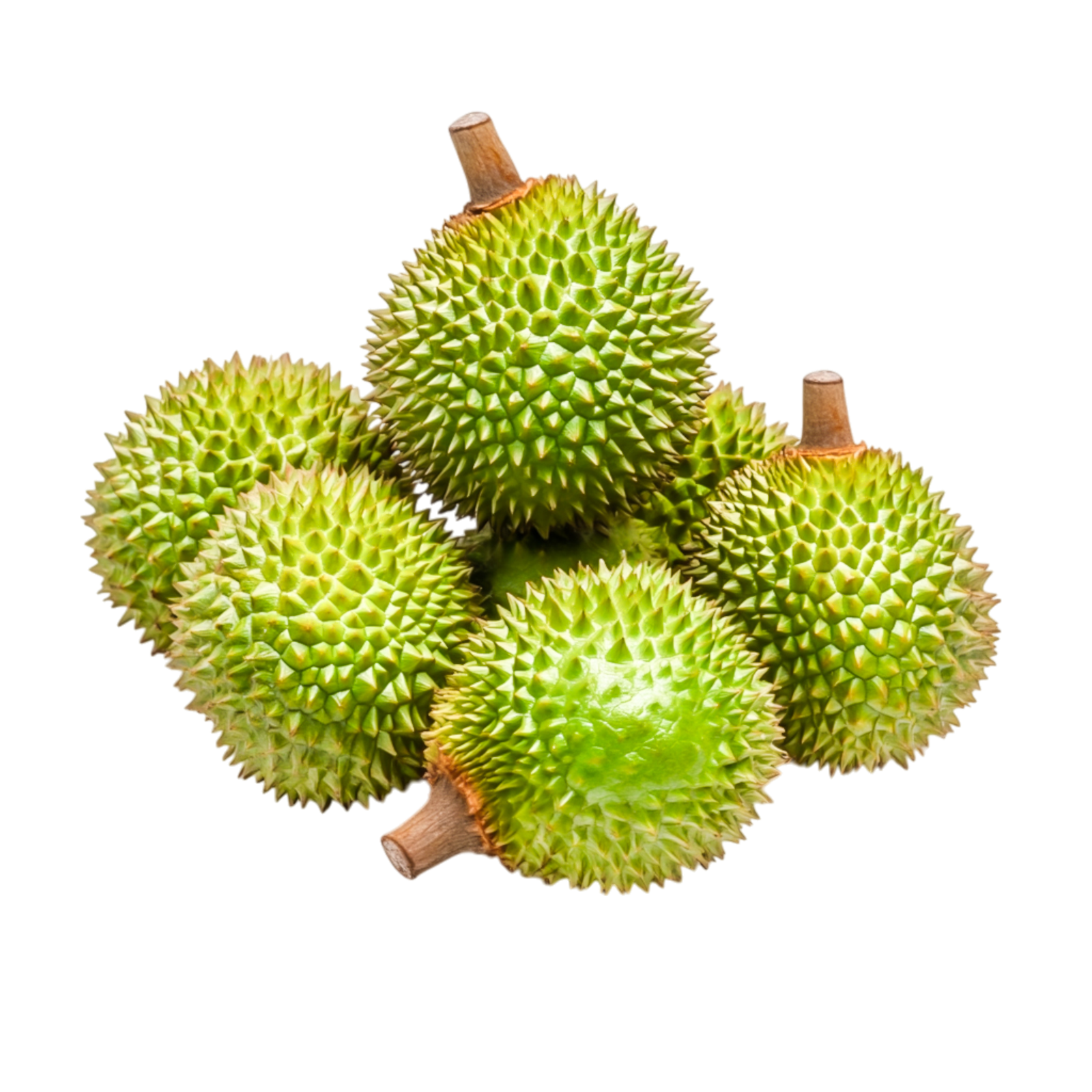 Fresh green durian fruits